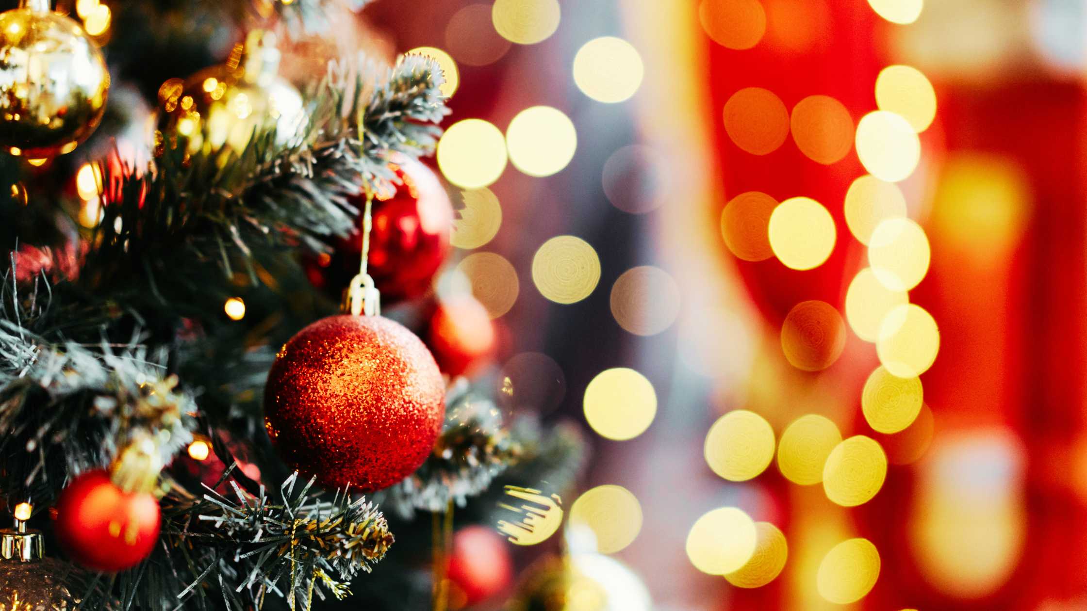 decoração em árvore natural