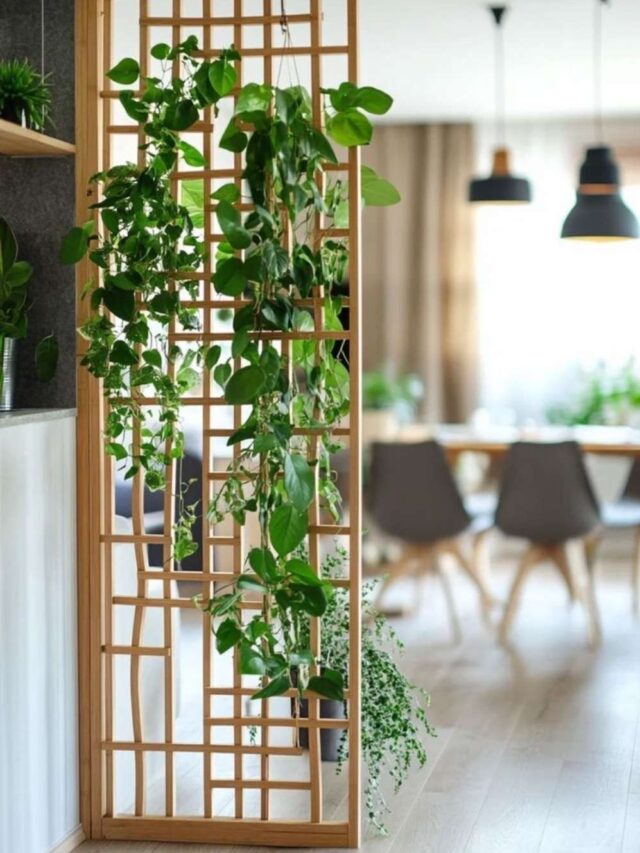 cropped-divisorias-de-ambiente-9.jpg