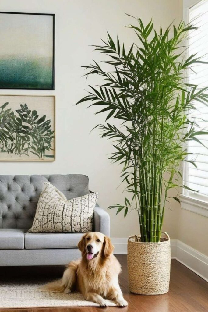 decoração pet friendly (5)