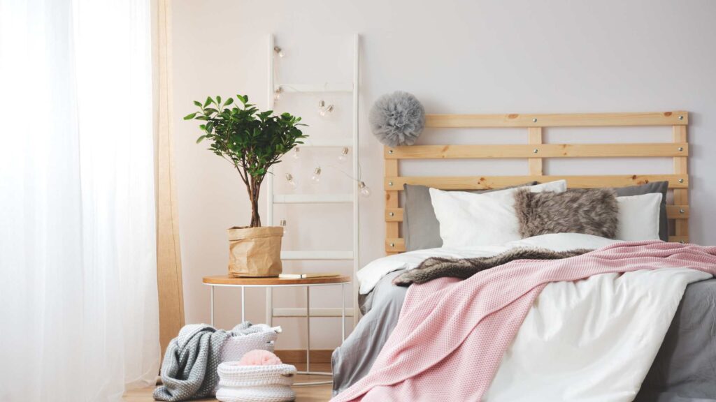 móveis orgânicos (8)